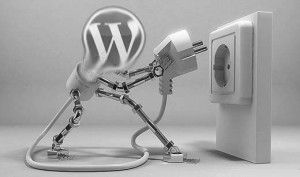 Lee más sobre el artículo Como mejorar la carga de tu blog atacando a los plugins #pluginsfree