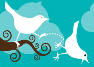 Lee más sobre el artículo 6 razones por las que NUNCA te seguiré en Twitter