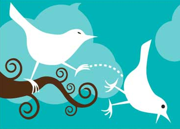 Lee más sobre el artículo 6 razones por las que NUNCA te seguiré en Twitter